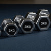 What weight dumbbell to start with South Africa — beginner's guide at Perfect Dealz