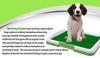 Dog Potty Trainer image 3