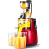Perfect Dealz 800w Electric Slow Juicer