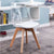 Scandinavian Transparent Elk Dining Chair with a minimalist design and clear seat on wooden legs.