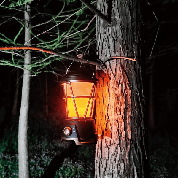Outdoor Flicker LED Lantern hanging on a tree, casting warm light in a nighttime forest setting.