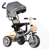 Perfect Dealz 3-in-1 Convertible Stroller Trike