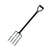 Garden Fork image 0