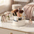 360 Degree Rotating Cosmetic & Makeup Brush Organizer with beauty products and brushes on a stylish vanity.