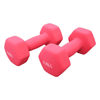 1 Piece 4Kg Dip-molded Dumbbell image 1