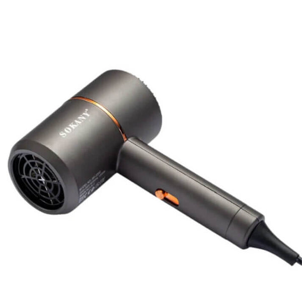 Perfect Dealz High Power Two Gear Adjustable Electric Hair Dryer