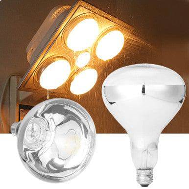 Perfect Dealz 4 Bulbs Infrared Bathroom Heating Lamp with Base