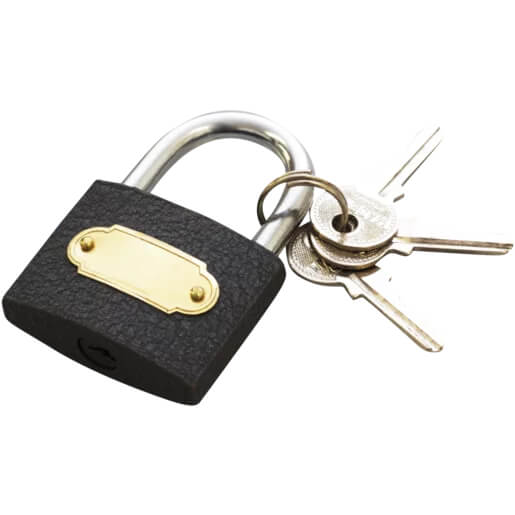 Perfect Dealz 50mm Iron Padlock