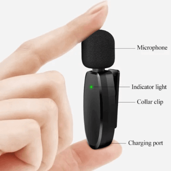 Perfect Dealz Dual Wireless Stereo Microphone for iOS