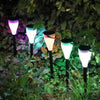 Sun Glow 6 Pack Solar Garden Light Set providing vibrant illumination in a garden setting.