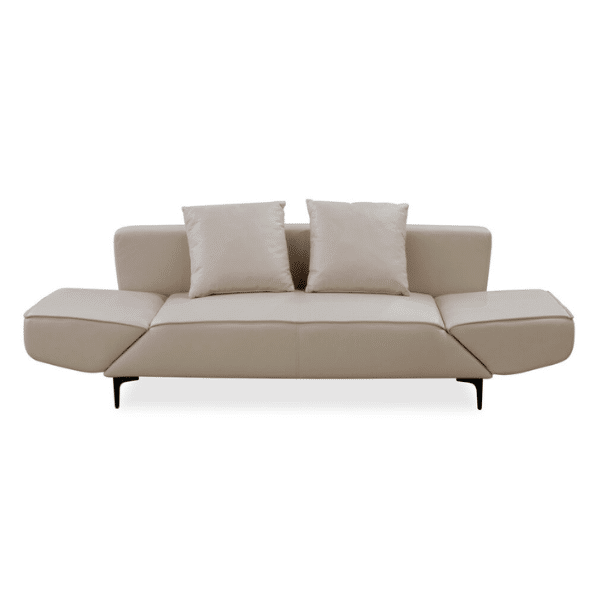 Stylish Convertible Sleeper Couch with cushions, perfect for modern living spaces and easy transformation from sofa to bed.