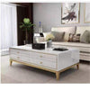 Four Drawer Coffee Table with modern design and spacious tabletop in stylish living room setting.