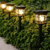 2-Pack Solar Garden Lights illuminating a pathway among lush greenery for outdoor ambiance.