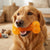 TPR Spiky Bone Dog Chew Toy with Squeaker