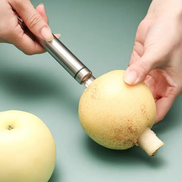 Perfect Dealz Stainless Steel Fruit Corer Remover