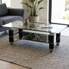 Coffee Table with Glass Top - Black showcased in modern living room with stylish decor and plant.