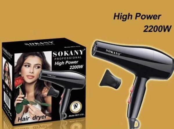 Perfect Dealz High Power Professional Hair Dryer
