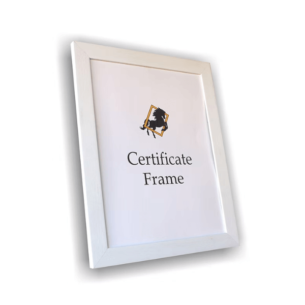 Perfect Dealz A3 Wall-Mount Certificate Display Frame