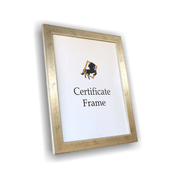 Perfect Dealz A3 Wall-Mount Certificate Display Frame
