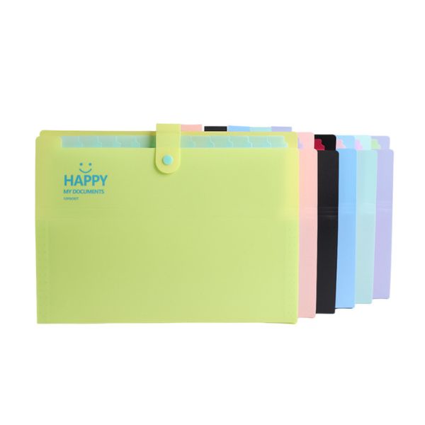 A4 Expanding Document File with 12 Pockets and Snap Closure