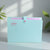 A4 Expanding Document File with 12 Pockets and Snap Closure