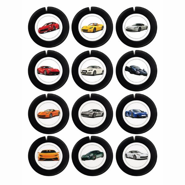 Car Permanent Licence Holders