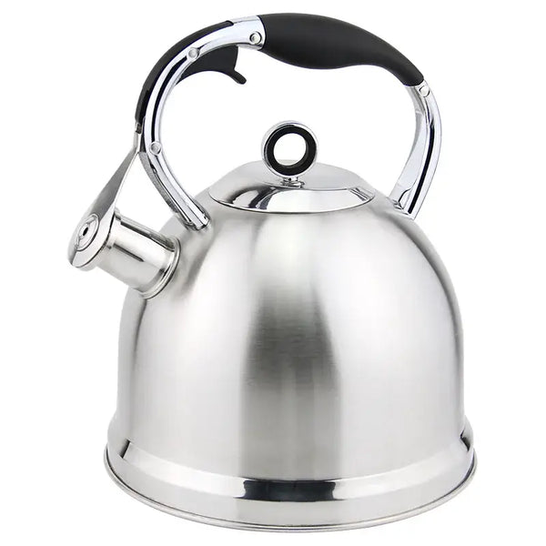 Perfect Dealz Colour-Coated Stainless Steel Whistling Kettle
