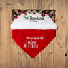 Perfect Dealz Festive Pet Bandana (30 × 13 cm)