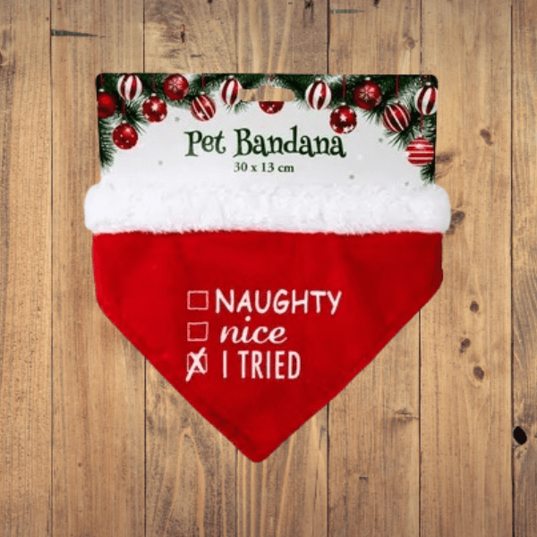 Festive Pet Bandana (30 × 13 cm)