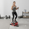 Heavy Duty Mini Fitness Twist Stepper with Arm Exercise Resistance