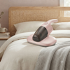 Dust Mite Vacuum Cleaner
