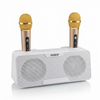 Mini Karaoke Speaker with 2 Microphones