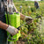 16L Backpack Hand Pump Pesticide Sprayer