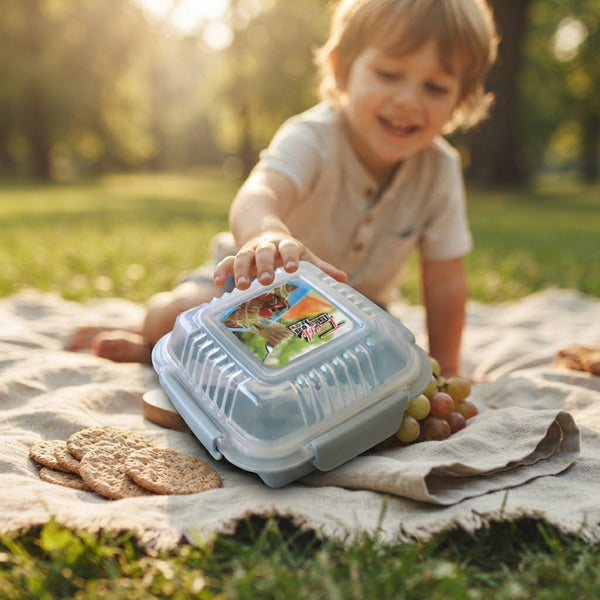 Mini Fresh Lunch Box with Compartments
