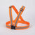 Reflective Body Belt For Enhanced Visibility