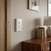Classic 2 Gang Australian Standard Wall Switch