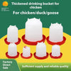 Automatic Poultry Drinking Water Fountain