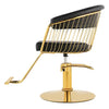 Black Beauty Salon Hydraulic Lifting Chair side view showcasing gold frame and black seat.