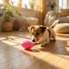 Interactive Football Squeaky Interactive Dog Toy