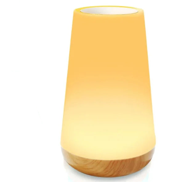 Portable USB Rechargeable Remote Control Dimmable Touch Lamp