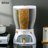 Multi-Compartment Plastic Grain Dispenser for organizing dry goods in a clear, stylish container.