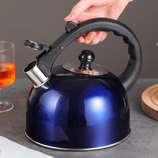 Stainless Steel Whistling Flat Bottom Kettle with black handle on a kitchen counter.