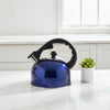 2.5L Stainless Steel Whistling Outdoor Camping Kettle in vibrant blue color on a kitchen countertop with a small plant.