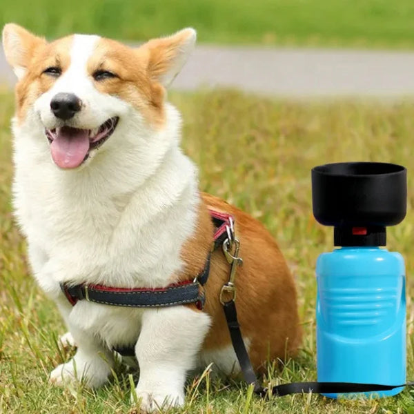 Portable Leak-Proof Dog Water Bottle and Bowl next to a happy Corgi on a grassy field.