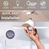 2-in-1 LED Light and Ceiling Fan