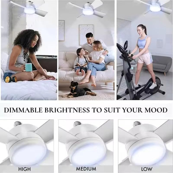 2-in-1 LED Light and Ceiling Fan