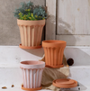 Wide Edge Striped Garden Style Magnesia Plant Pot