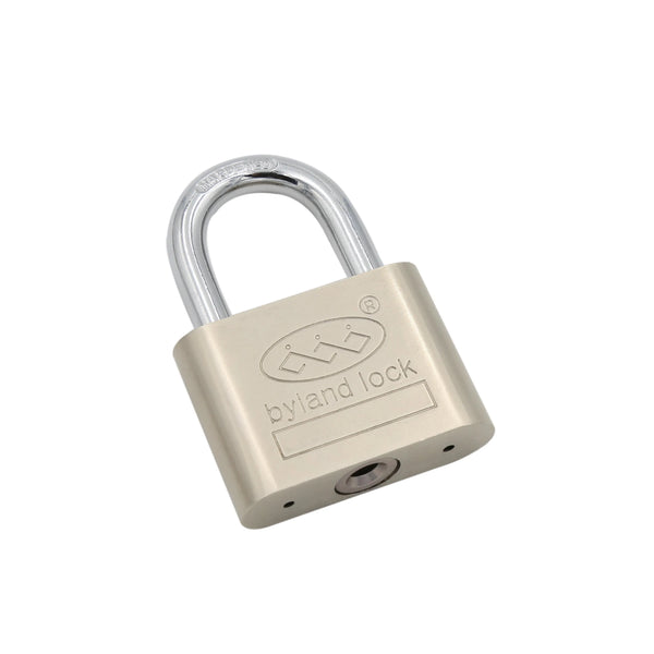 Storage Container Tricycle Padlock 60MM with durable iron body and chrome shackle for secure locking.