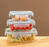 Borosilicate Glass Food Storage Containers