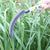 Carbon Steel Garden Hand Sickle
